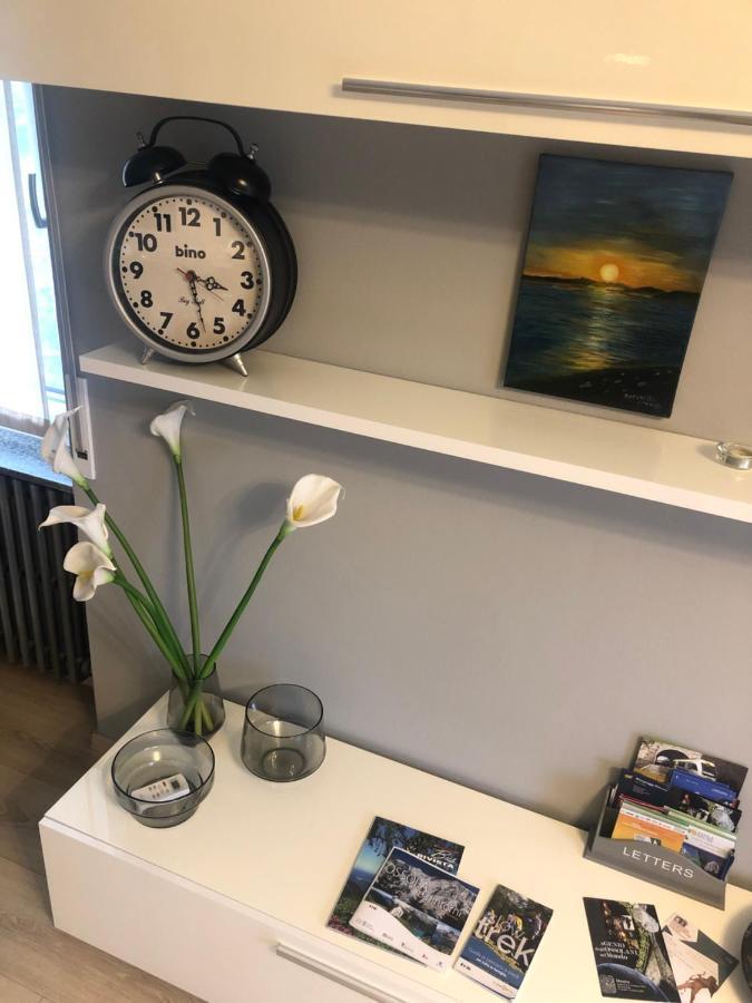 "La Bella Della Cappuccina" Casa Con Parcheggio Interno Gratuito Apartment Domodossola Exterior foto